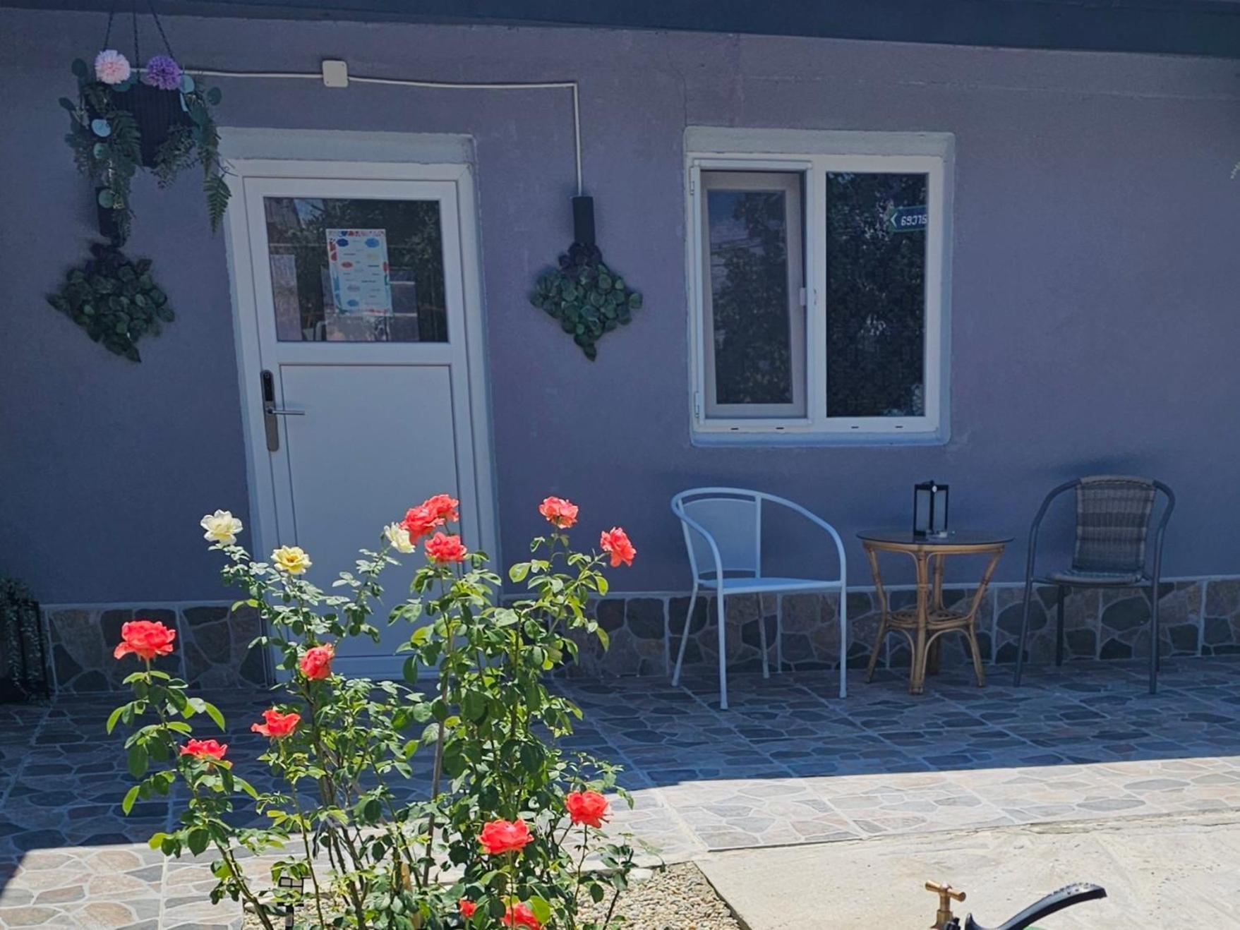 The Purple House-Villa In Bukarest Kültér fotó